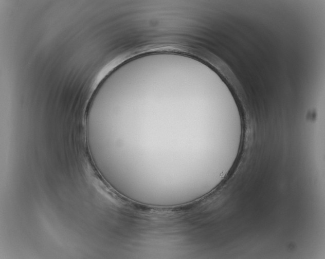 X0000113131242200909040925