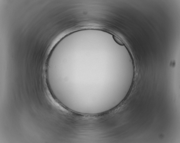 X0000113131243200909040925