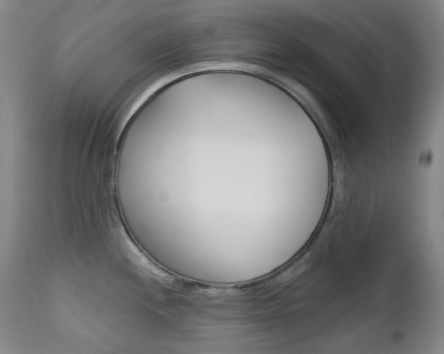 X0000113131244200909040925