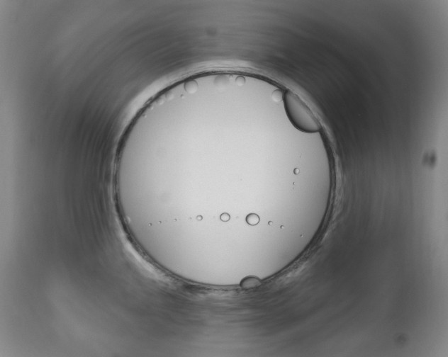 X0000113131245200909040925