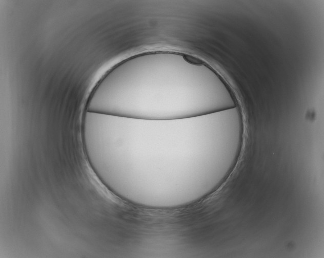 X0000113131246200909040925