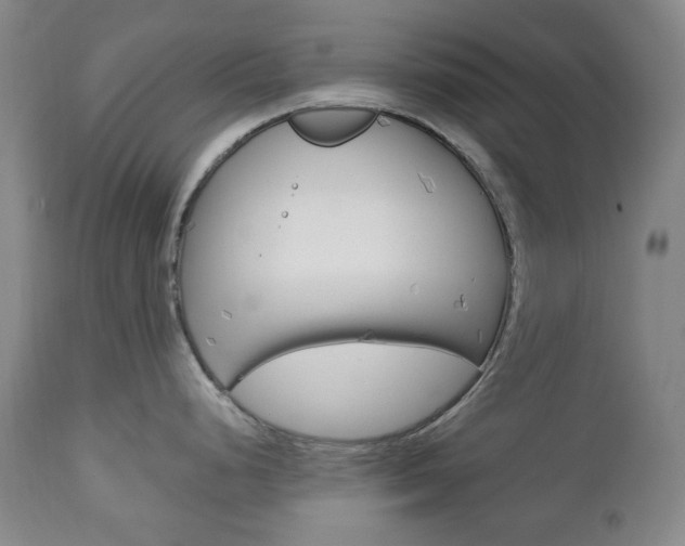 X0000113131248200909040925
