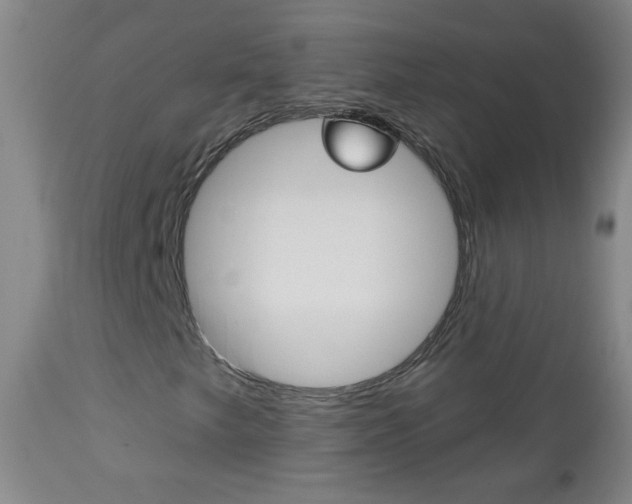 X0000113131249200909040924