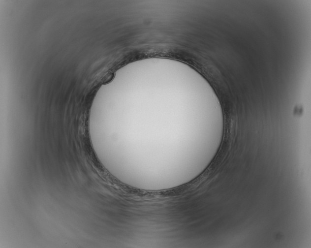 X0000113131250200909040924