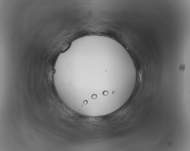 X0000113131251200909040924