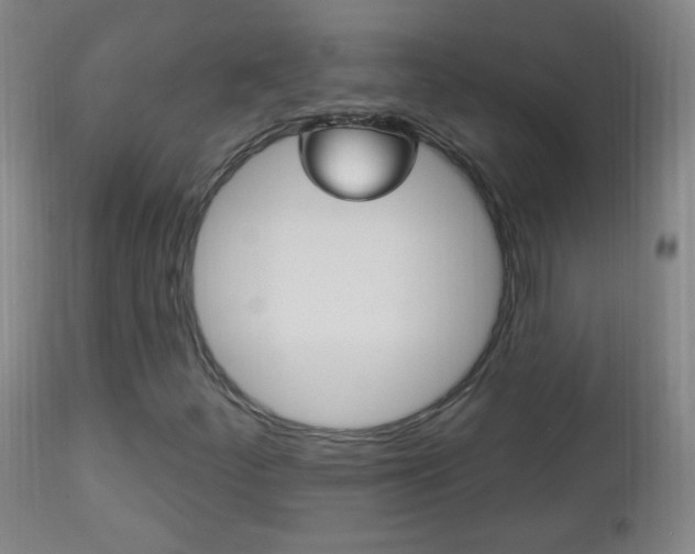 X0000113131252200909040924