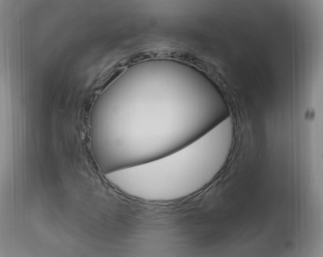 X0000113131253200909040924