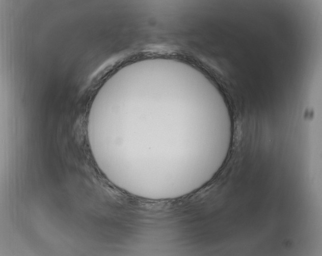 X0000113131254200909040924