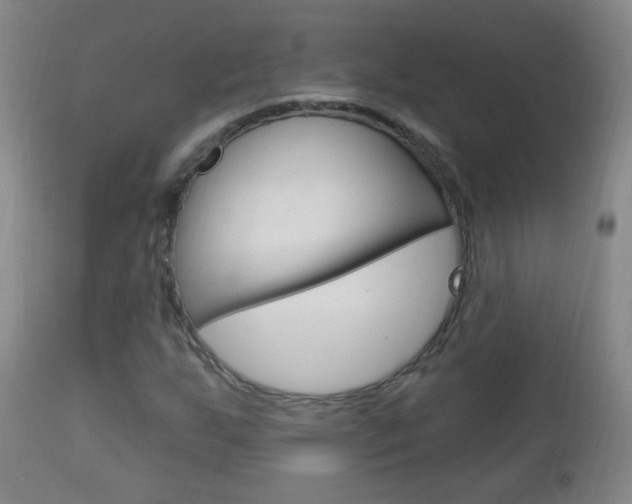 X0000113131255200909040924