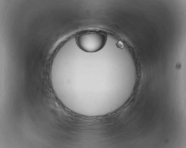 X0000113131256200909040924