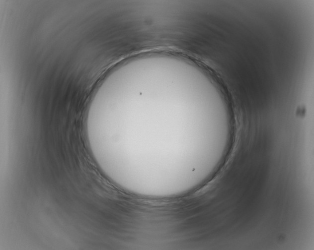 X0000113131257200909040924