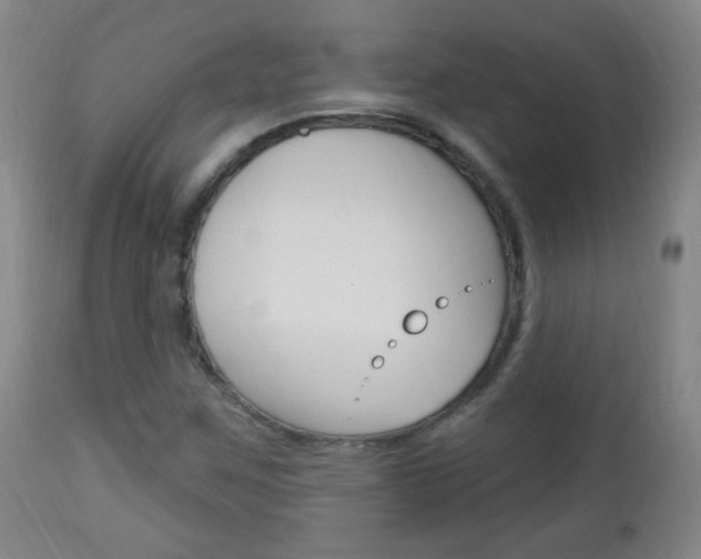 X0000113131259200909040924