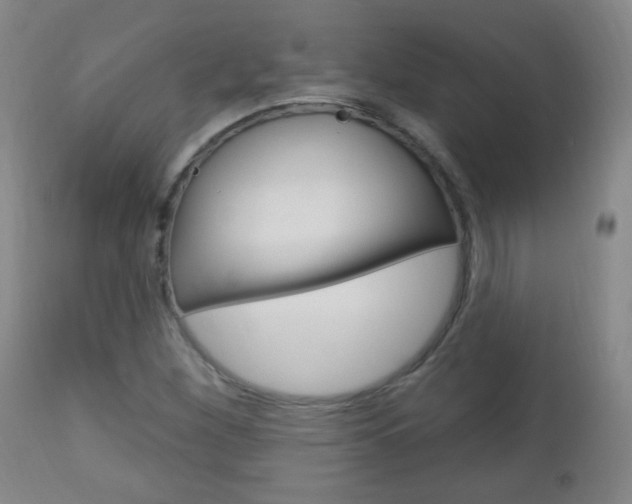 X0000113131260200909040924