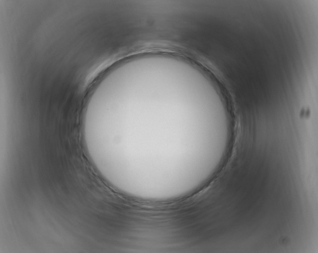 X0000113131261200909040924