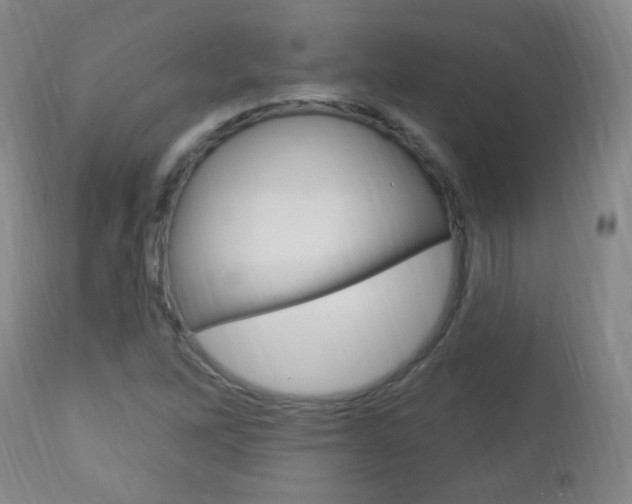 X0000113131262200909040924