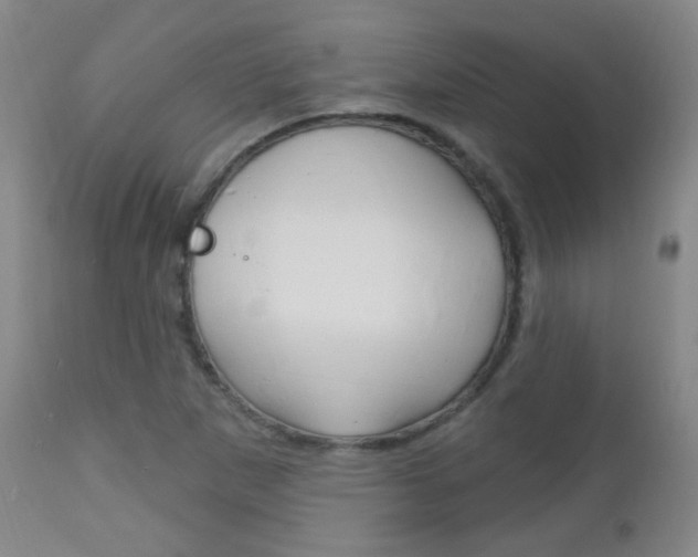 X0000113131265200909040924