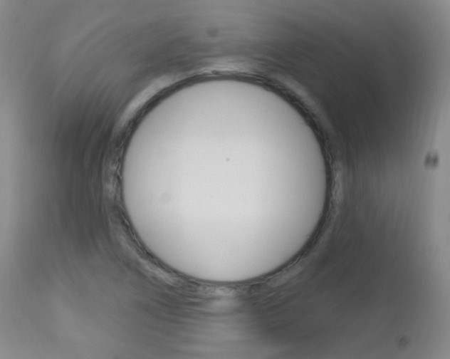 X0000113131266200909040924