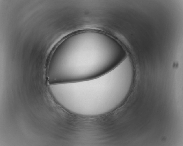 X0000113131268200909040924