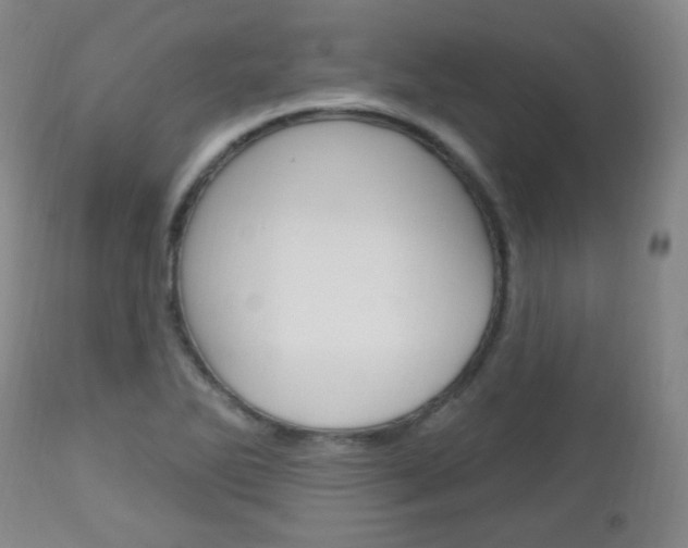 X0000113131270200909040924