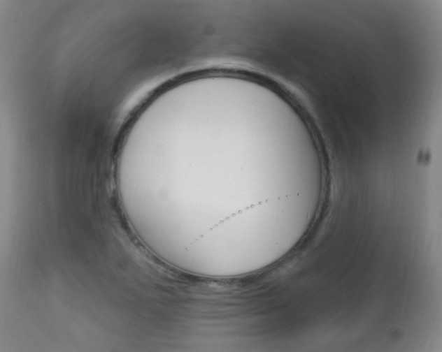 X0000113131271200909040924