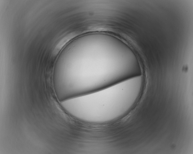 X0000113131273200909040924