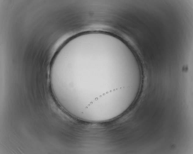 X0000113131275200909040924