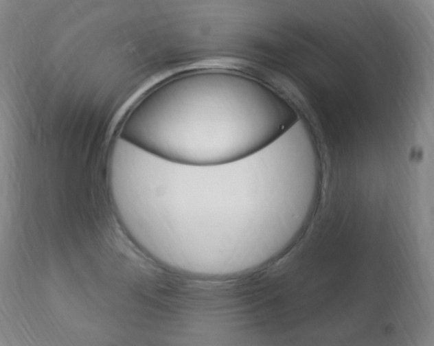 X0000113131276200909040924