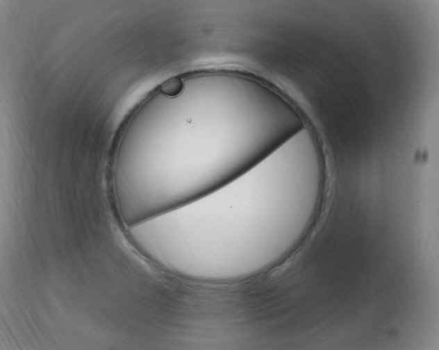 X0000113131277200909040924