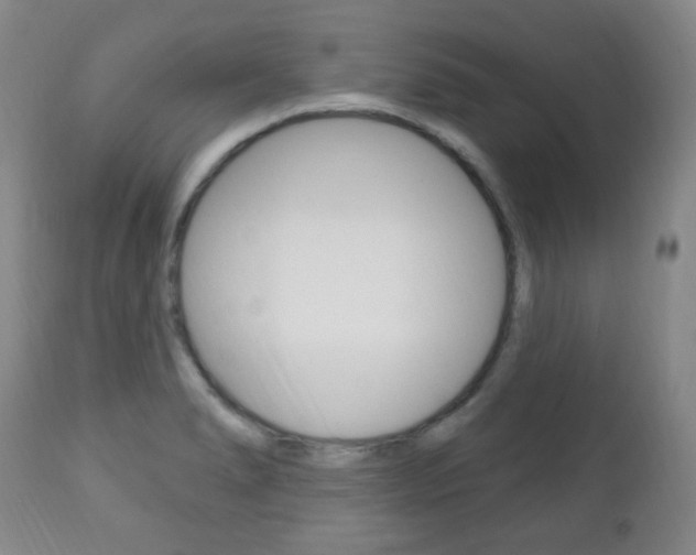 X0000113131278200909040924