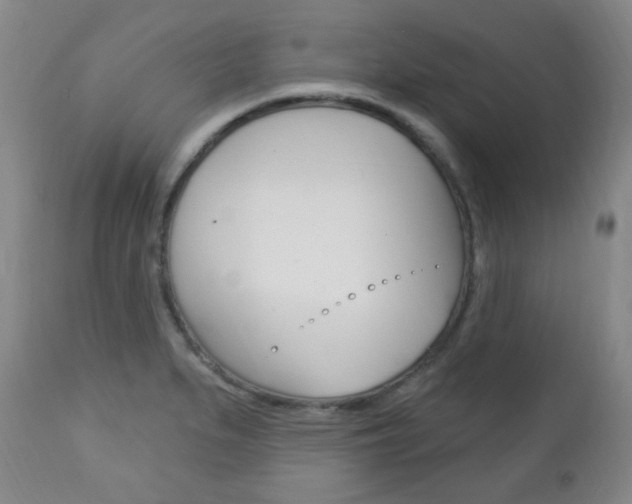 X0000113131279200909040924