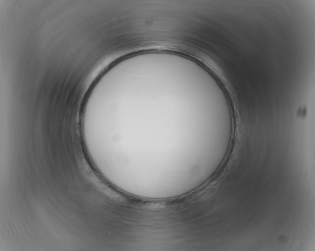 X0000113131283200909040924