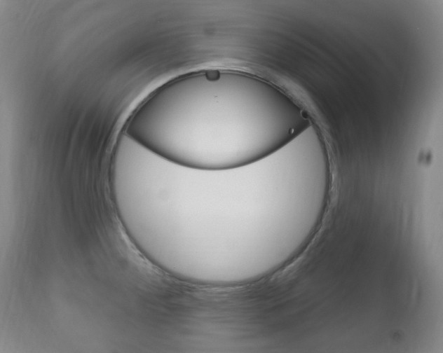 X0000113131284200909040924