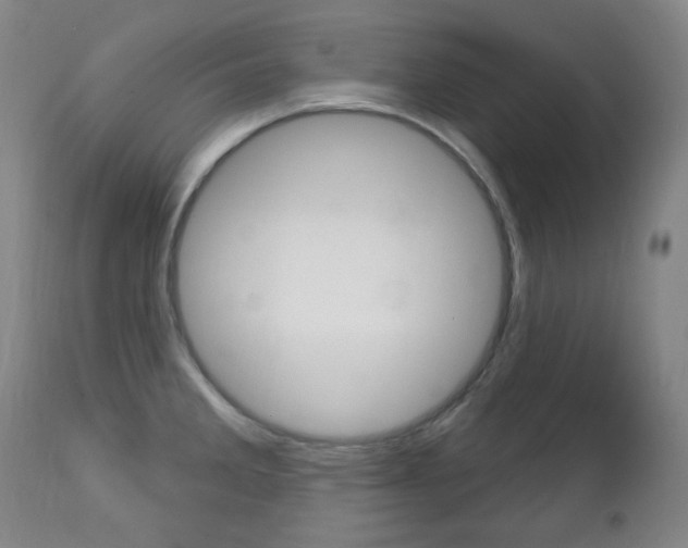 X0000113131285200909040924