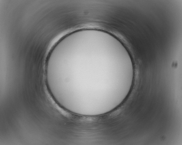 X0000113131286200909040924