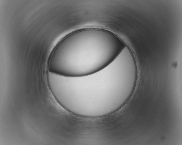 X0000113131288200909040924