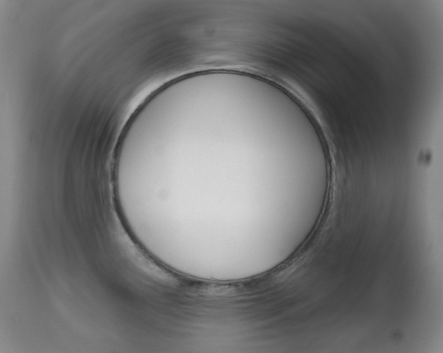 X0000113131291200909040924