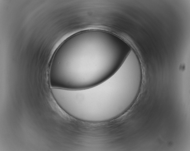 X0000113131292200909040924