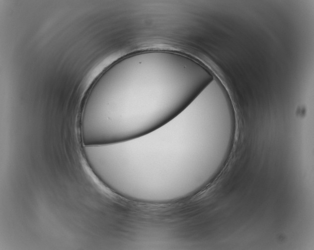 X0000113131293200909040924