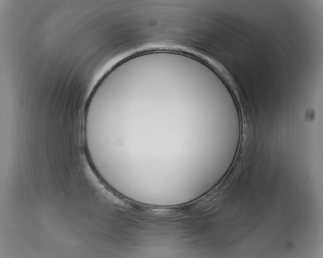 X0000113131295200909040924
