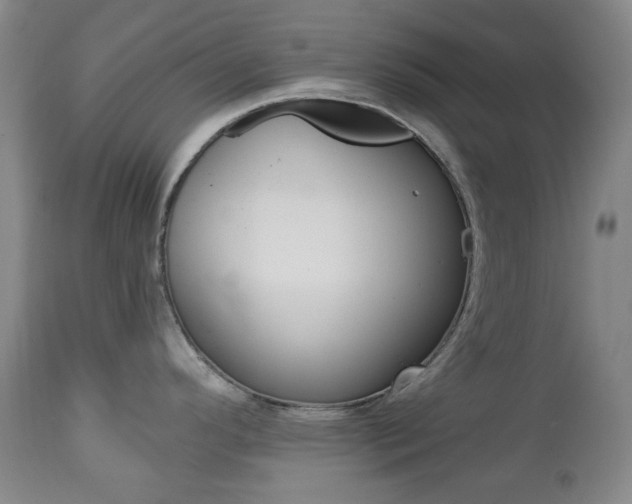 X0000113131296200909040924