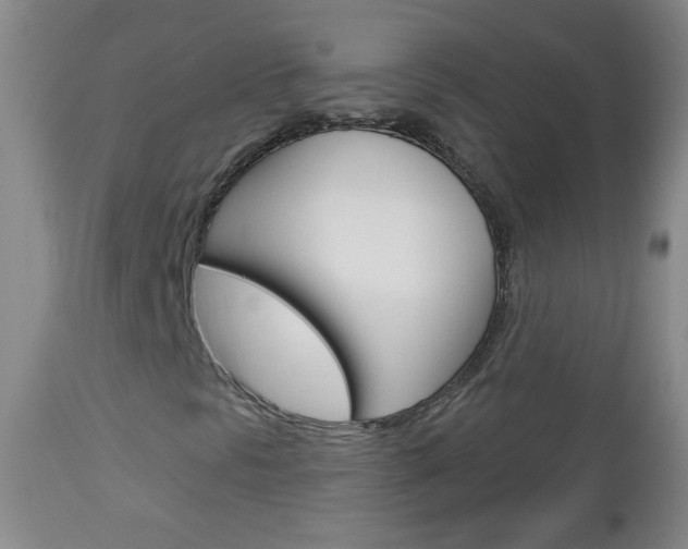 X0000113131297200909040923