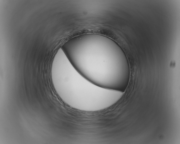 X0000113131298200909040923