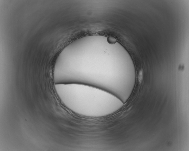 X0000113131299200909040923