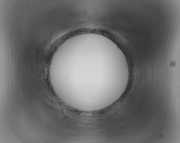 X0000113131302200909040923