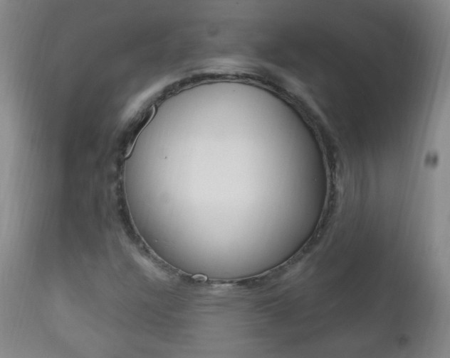 X0000113131304200909040923