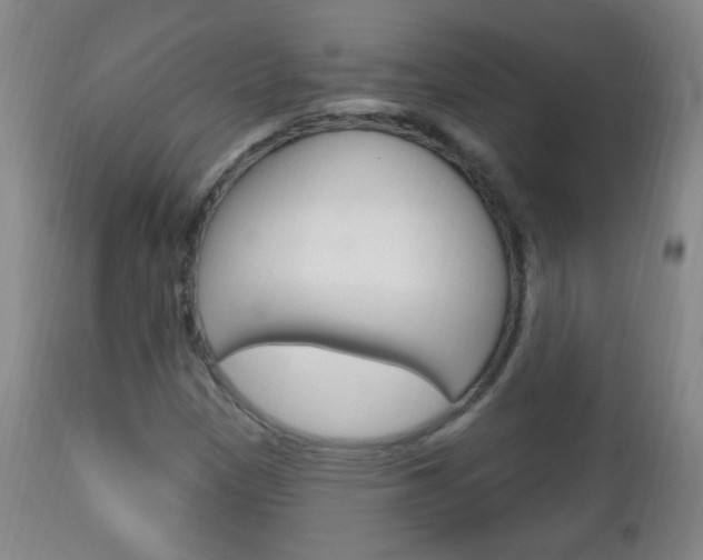 X0000113131305200909040923