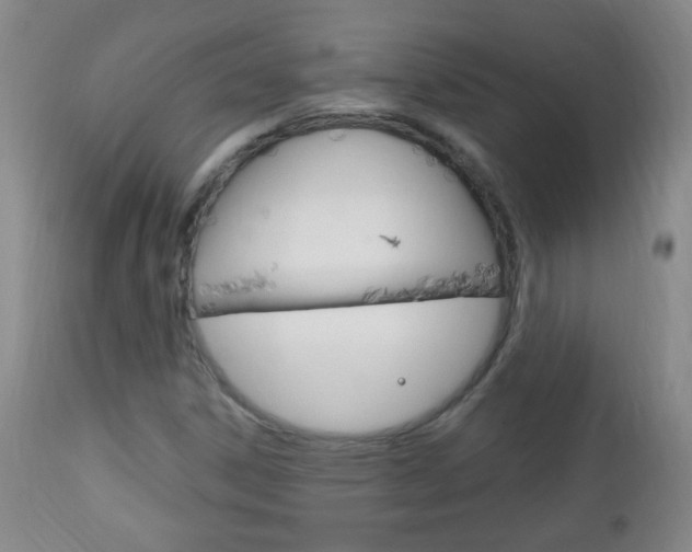 X0000113131306200909040923