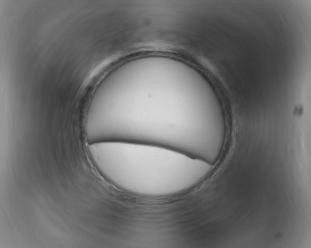 X0000113131307200909040923