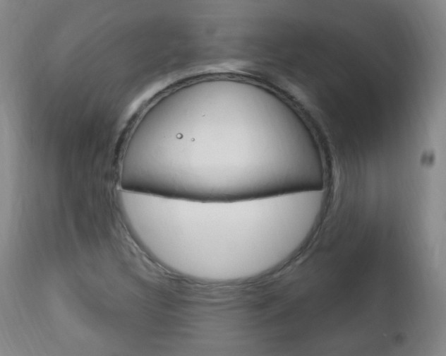 X0000113131308200909040923