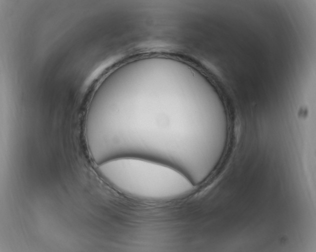 X0000113131309200909040923